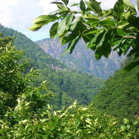 Cossogno B&B Ca' Del Pitur Cicogna מראה חיצוני תמונה